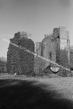 BIRR CASTLE  RUINS OF TELESCOPE HOUSE AND DETAILS